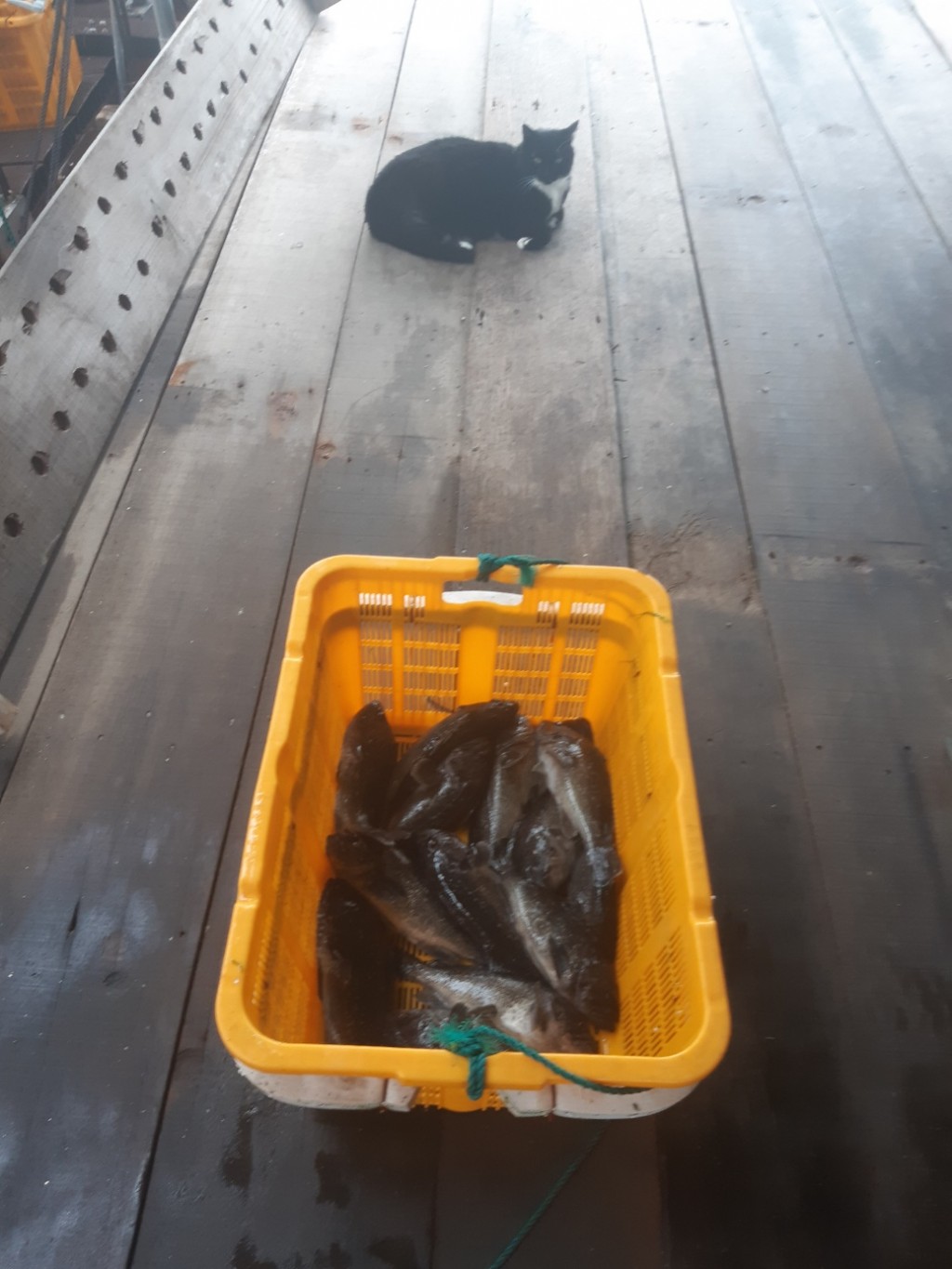 ca13e38f0467e8e54499acd7186cf7b0_1751262660_3401.jpeg