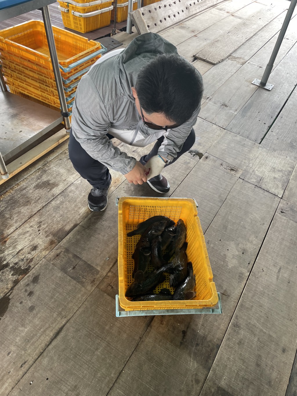 ca13e38f0467e8e54499acd7186cf7b0_1751262698_2854.jpeg
