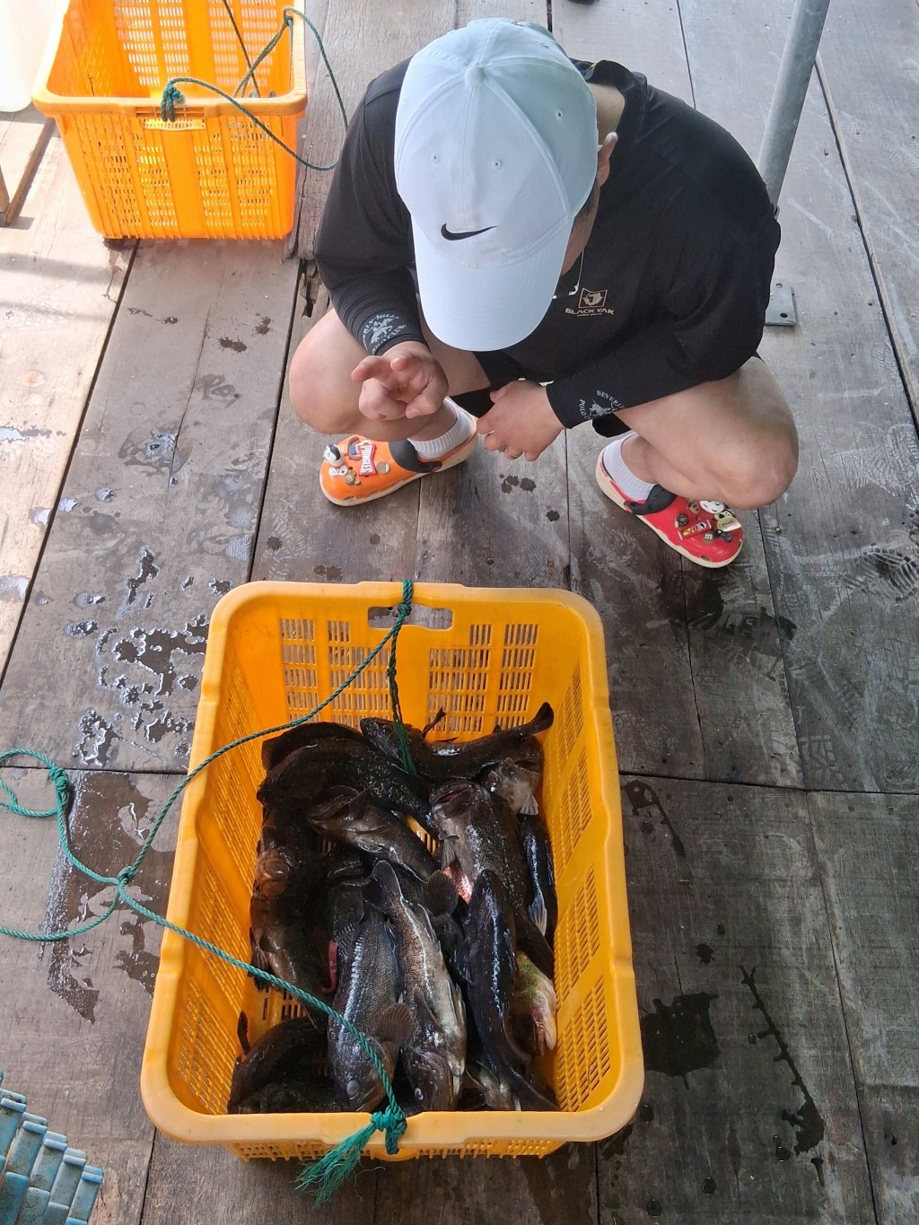 ddf62ce00c7c452b2e46825cbff64b0c_1781847532_4045.jpg