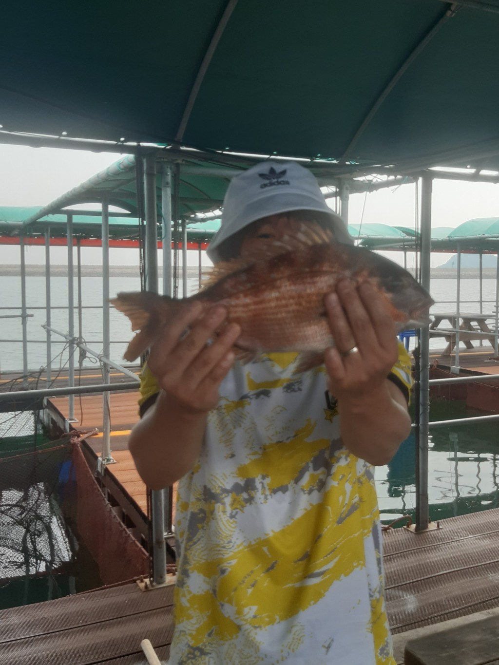 692136fb3d0641c8a75db45d3640ef2c_1782977058_8779.jpg