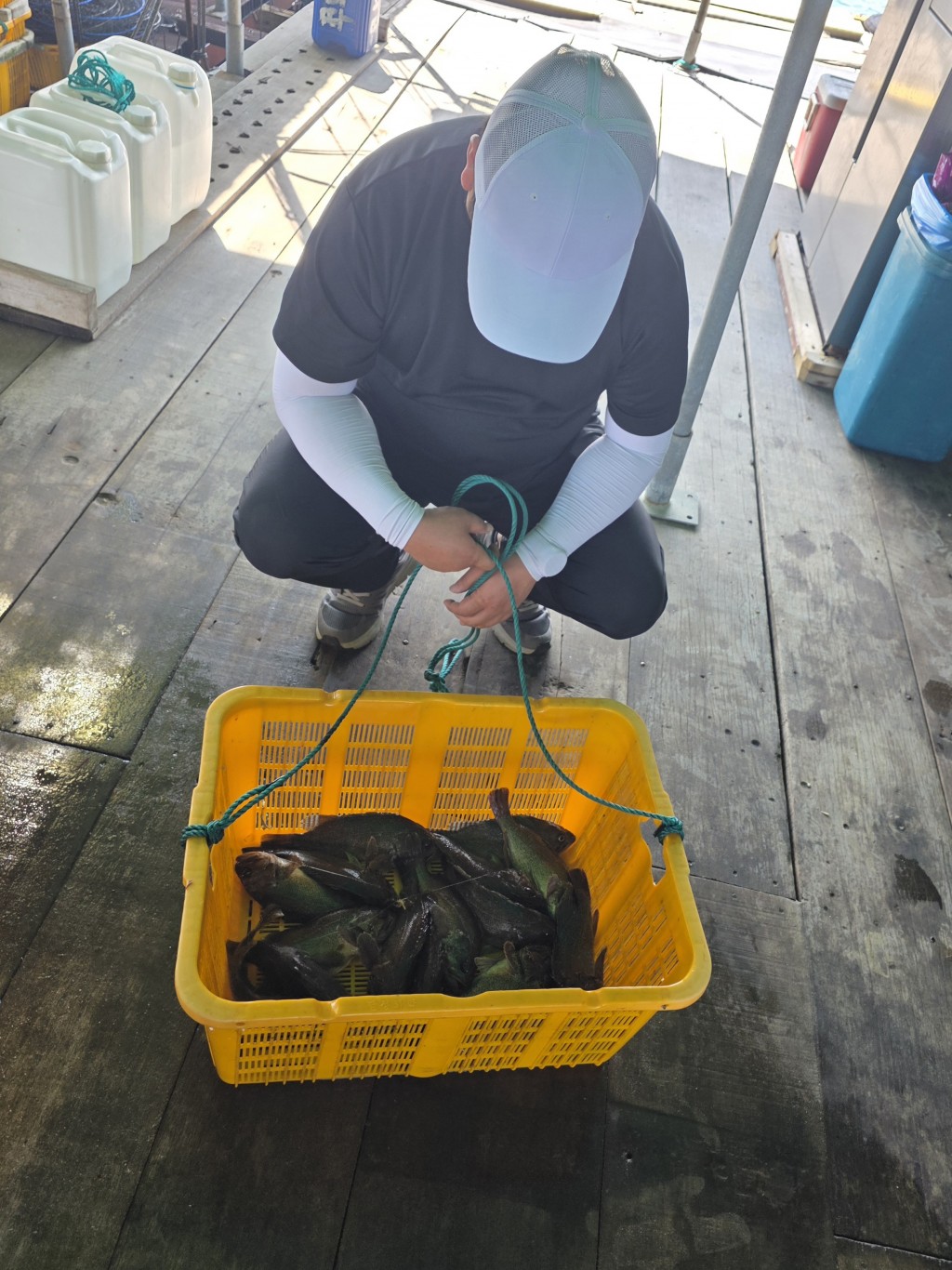d751cad15b5ac7f347a73e1f06dbefdf_1790580185_6711.jpg
